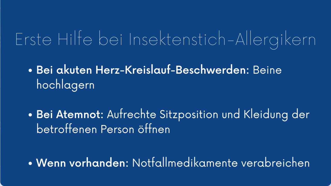 B2ap3 Large KW37 Allergiker